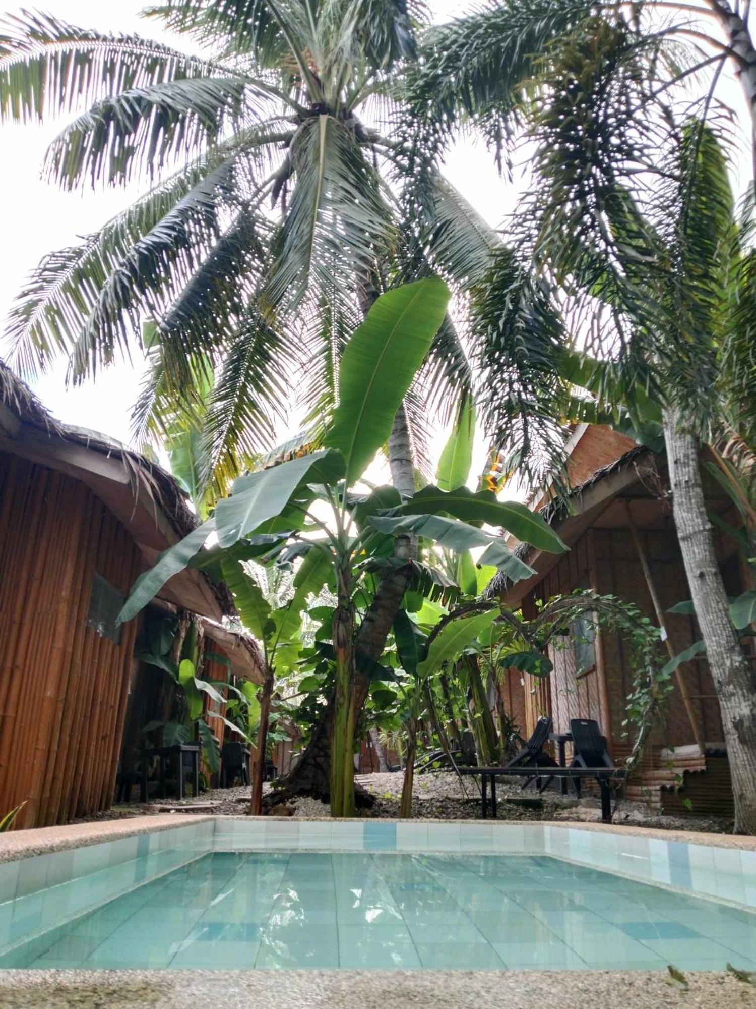 Ecostay Panglao Resort Hotel Extérieur photo